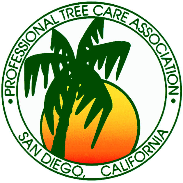 consulting arborist for tree healthcare in Irvine