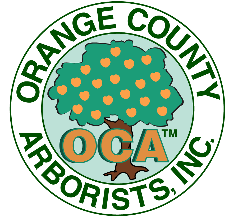 cropped-orangecounty-logo.png cropped-orangecounty-logo.png